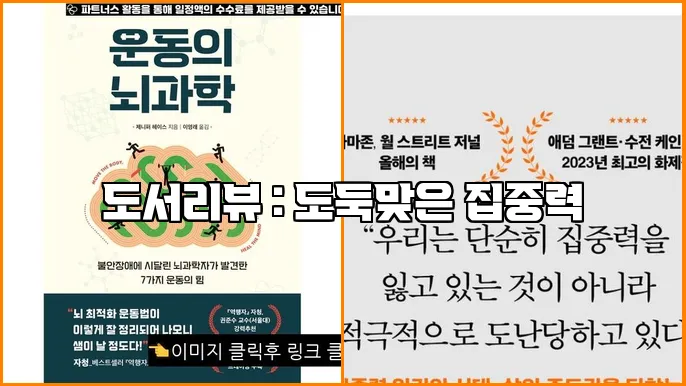 도서리뷰 : 도둑맞은 집중력