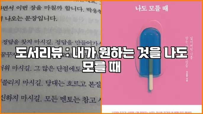 도서리뷰 : 내가 원하는 것을 나도 모를 때