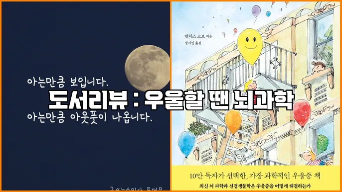 도서리뷰 : 우울할 땐 뇌과학