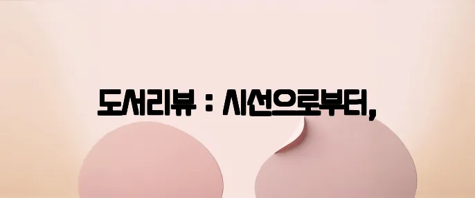 도서리뷰 : 시선으로부터,